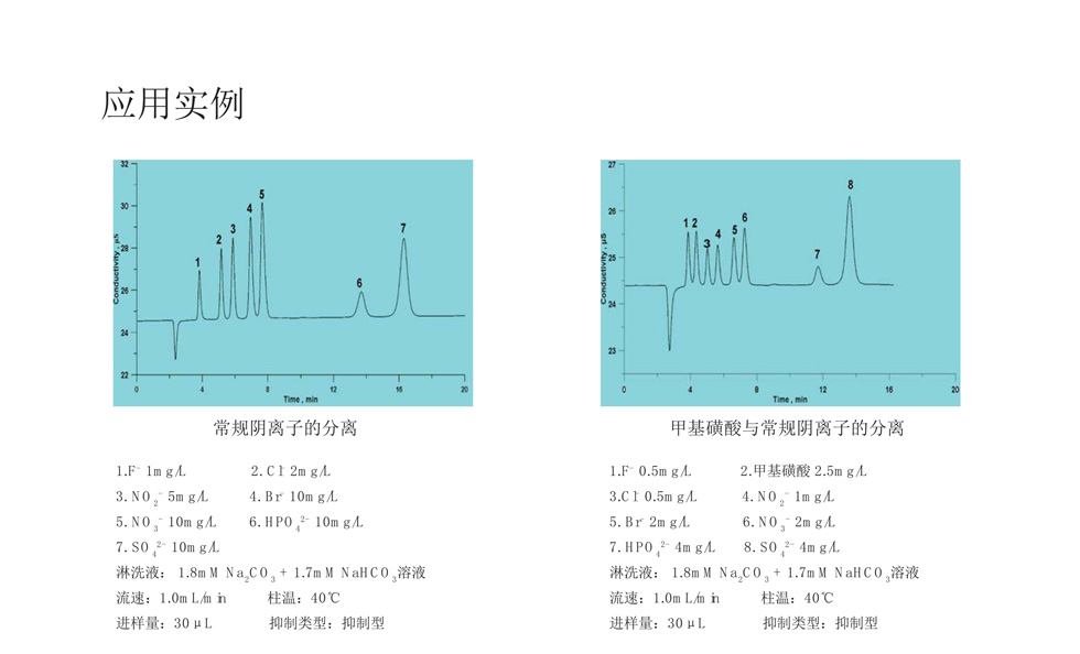 上海舜宇恒平IC1800离子色谱仪