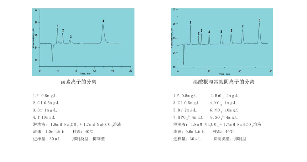 上海舜宇恒平IC1800离子色谱仪