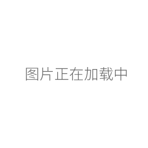 728575百得Proline Plus固定单道移液器2000ul