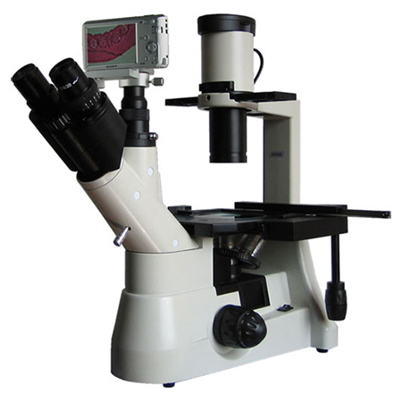 BM-37XCS倒置生物显微镜（数码）