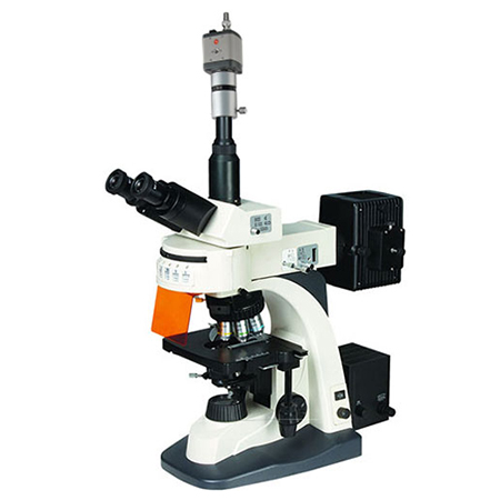 UIS荧光显微镜BM-21AYC（电脑、落射）
