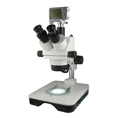 XTZ-EAS体视显微镜（数码、变倍、7-180X）