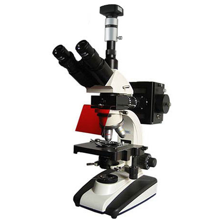 UIS荧光显微镜BM-20AYD（电脑、落射）