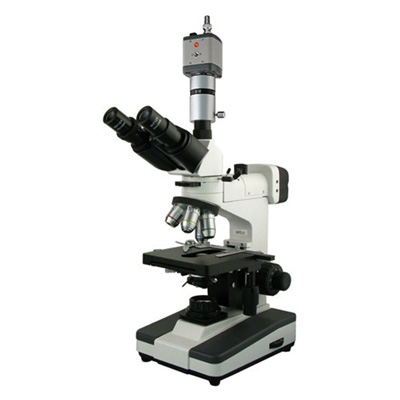 BM-53XCC金相显微镜（电脑、正置）