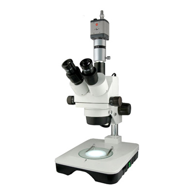 XTZ-EAC体视显微镜（电脑、变倍、7-90X）