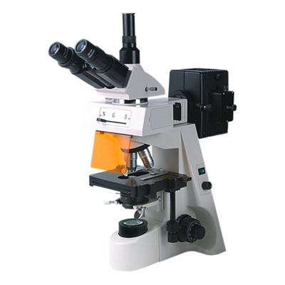 BM-19AY荧光显微镜（三目、落射）