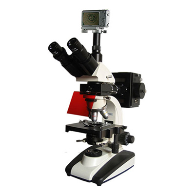 UIS荧光显微镜BM-20AYS（数码、落射）